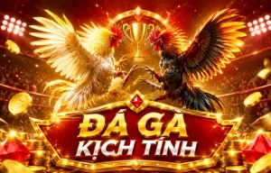 Giao diện Đá Gà fitness1stgym trên điện thoại